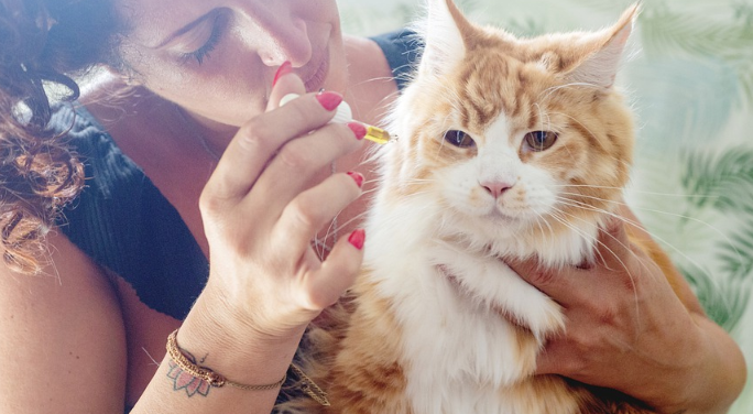 CBD for pets